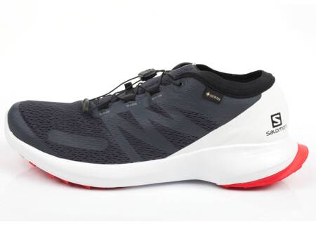 Salomon Sense Flow Herren Sportschuhe [409672] GTX, grau.