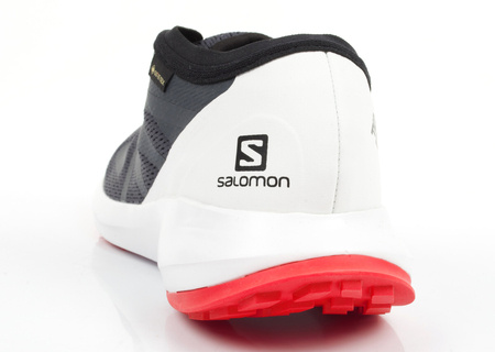 Salomon Sense Flow Herren Sportschuhe [409672] GTX, grau.