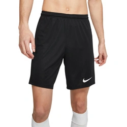 Nike Herren-Shorts Park 20, schwarz, Sport, Nike Dri-FIT