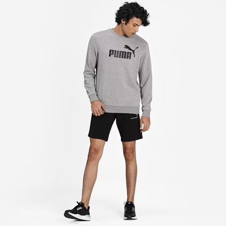 Herren-Sport-Sweatshirt Puma ESS Big Logo Crew [586680 03], grau.