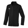 Puma Sideline Zip-up Sweatshirt [655947 03]
