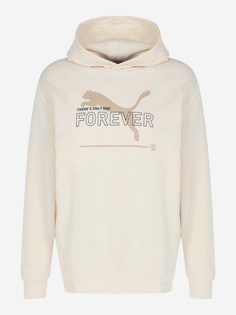Herren-Sport-Sweatshirt mit Kapuze Puma FD Ess Btr [673293 99], beige.