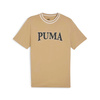 Herren T-Shirt Puma Squad Sport T-Shirt [678967 83], beige.