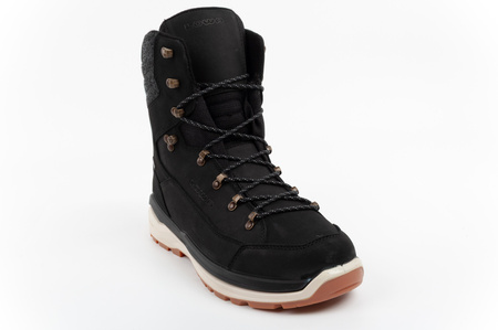 Lowa Herren-Trekkingstiefel Renegade Evo Ice 2 GORE-TEX (hoch)