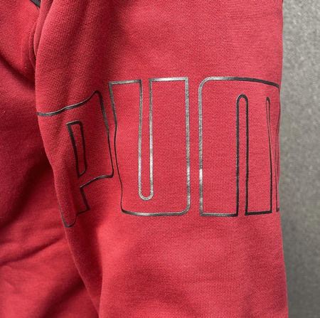Puma Hoodie Sport Sweatshirt [848189 22]