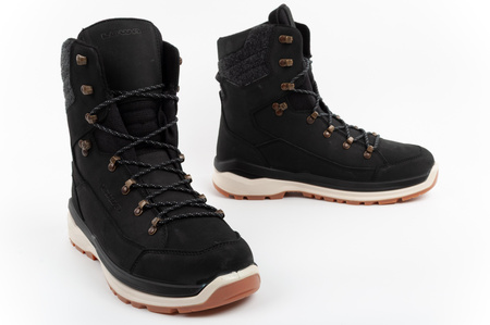Lowa Herren-Trekkingstiefel Renegade Evo Ice 2 GORE-TEX (hoch)
