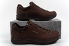 Lowa Herren-Trekkingschuhe Renegade EVO GORE-TEX – sportliche Lederschuhe