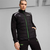 Puma MAPF1 Mercedes AMG Petronas F1 Sportweste