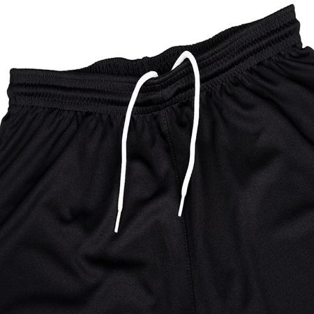 Nike Herren-Shorts Park 20, schwarz, Sport, Nike Dri-FIT