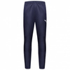 Puma Jogginghose Frankreich [655259 06]
