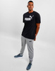 Herren Sport-Jogginghose Puma Ess Logo [586716 03], grau.