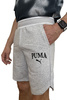 Herrenshorts Puma Squad Baumwollshorts [678975 04], grau.