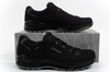 Lowa Herren-Trekkingschuhe Renegade EVO GORE-TEX – sportliche Lederschuhe
