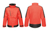 Regatta Men's Waterproof Cntrst Shell Jacket [TRW504 51P] 