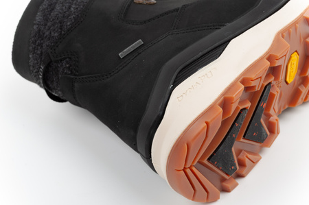 Lowa Herren-Trekkingstiefel Renegade Evo Ice 2 GORE-TEX (hoch)