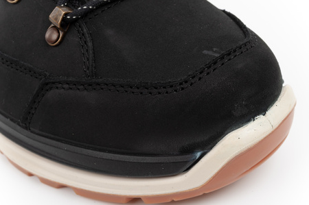 Lowa Herren-Trekkingstiefel Renegade Evo Ice 2 GORE-TEX (hoch)