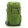 Deuter Walker 24L Sportrucksack für die Stadt, Grün, Geräumig