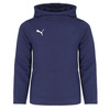 Puma Sport-Sweatshirt mit Kapuze [655636 06] 
