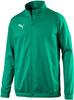 Puma Sideline Zip-up Sweatshirt [655947 05]