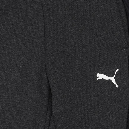 Puma Trainingshose für Jungen [580732 04], grau.