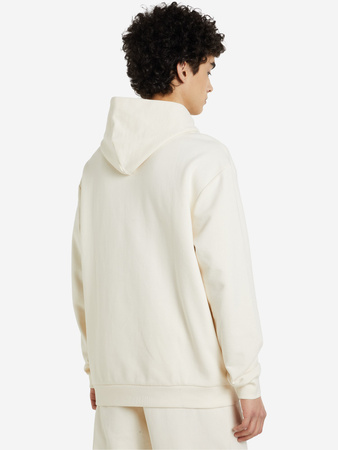Herren-Sport-Sweatshirt mit Kapuze Puma FD Ess Btr [673293 99], beige.
