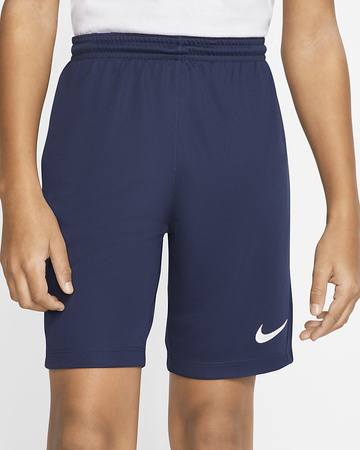 Nike Dri-FIT Shorts für Kinder [BV6865-410]