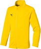 Puma Sideline Zip-up Sweatshirt [655947 07]