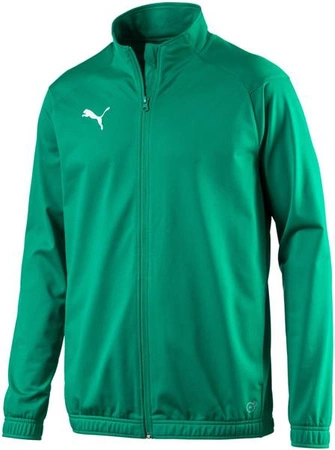 Puma Sideline Zip-up Sweatshirt [655947 05]