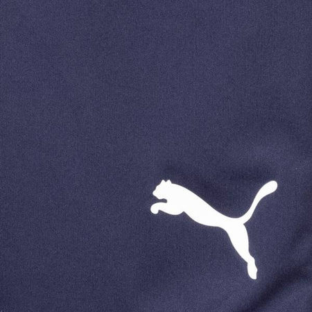 Puma Jogginghose Frankreich [655259 06]