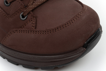 Lowa Herren-Trekkingschuhe Renegade EVO GORE-TEX – sportliche Lederschuhe