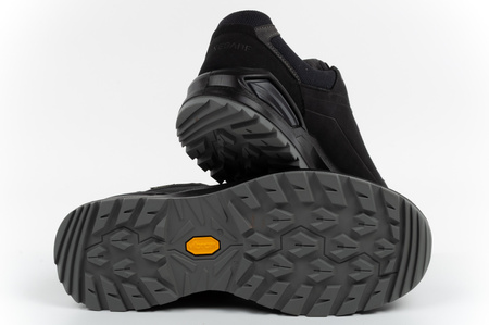 Lowa Herren-Trekkingschuhe Renegade EVO GORE-TEX – sportliche Lederschuhe